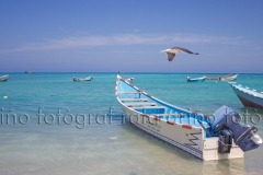 mg_6841