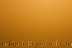 mg_7715