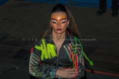 DSC6146