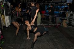 DSC6161