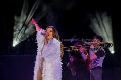DSC6211