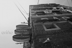 mg_6530